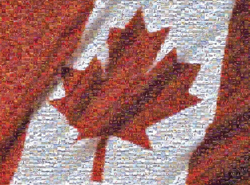 Untangling Canada’s Immigration Web