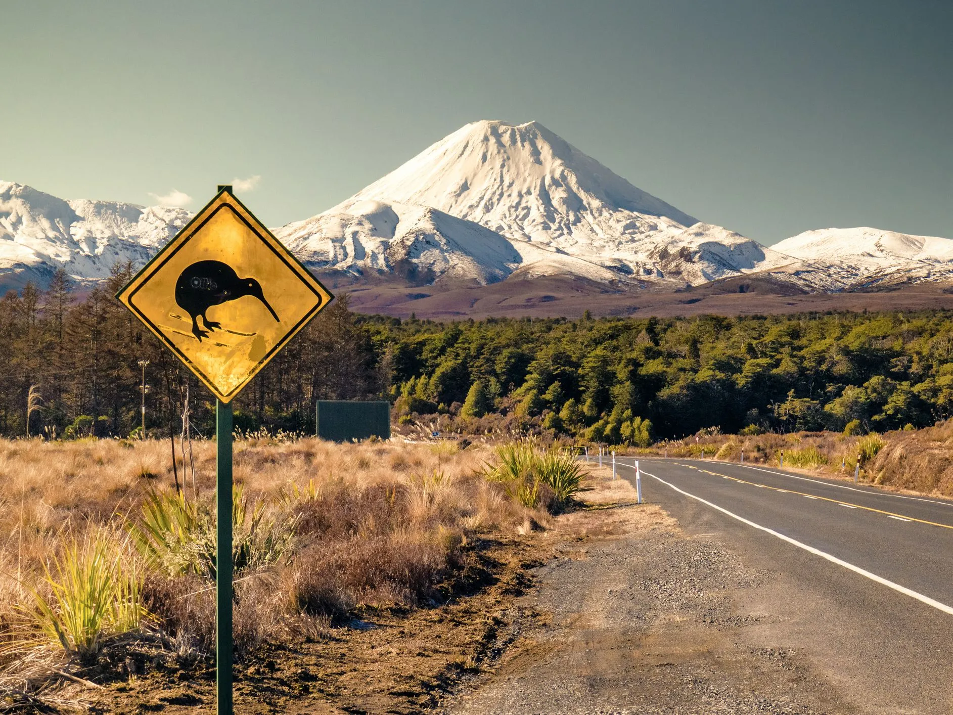 New zealand ответы. Новая Зеландия. Знак новой Зеландии. Новая Зеландия ассоциации. Штаты новой Зеландии.