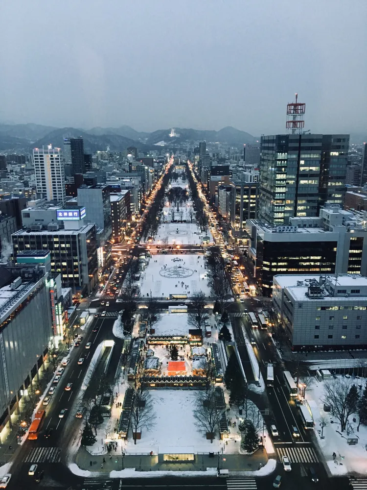 Startup Frontier HOKKAIDO: Two Types of Startup Visas Available in Hokkaido