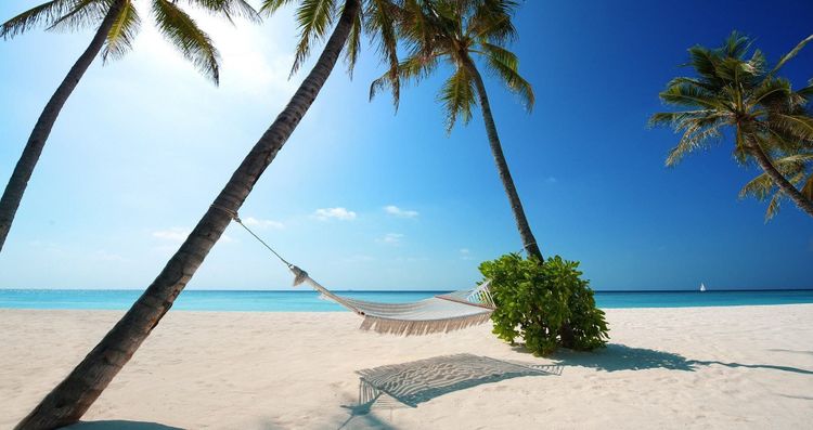 Emerging Immigration Pathways for Digital Nomads - What is BEATS?