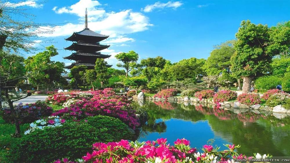 2022 - Get ready for your landing in Japan!
