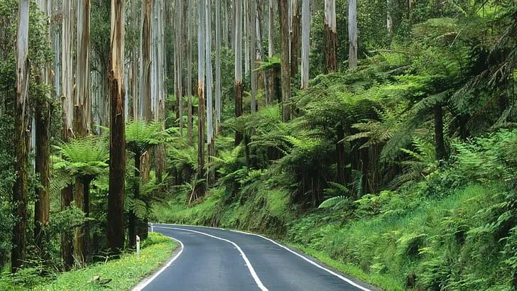Australian Employers Should Prepare For Open Borders And Competition For Skilled Labour