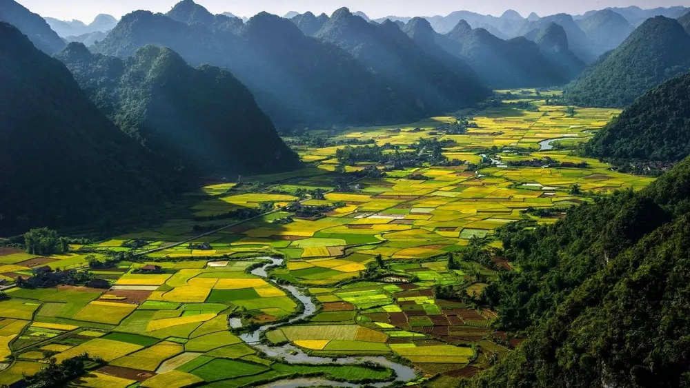 Vietnam