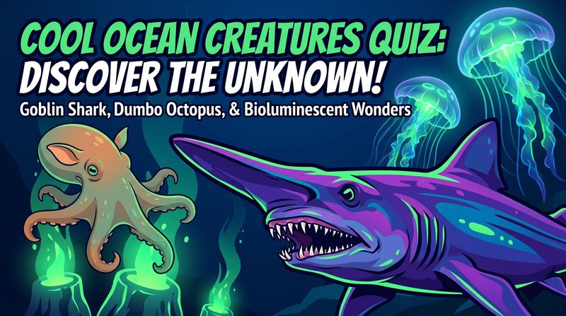 Strange Deep Sea Animals
