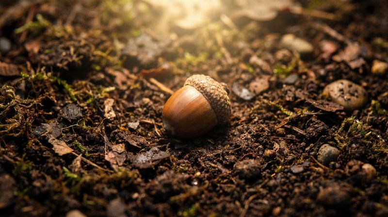 The Quiet Power of Compounding