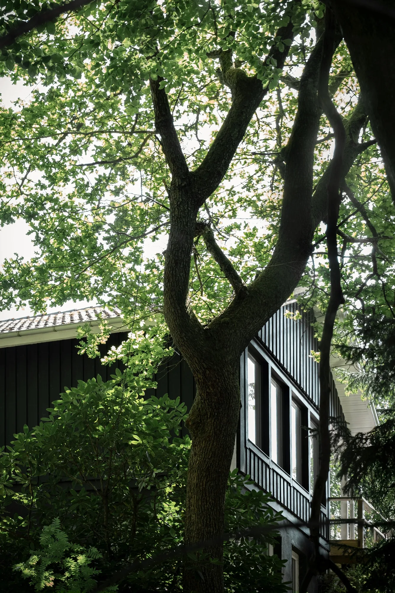 Cabin in the wood by Norm Architects