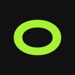 Roundtrip logo