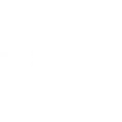 Sapien logo