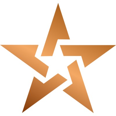 Logo of 🎖️Bronze Star Consultant