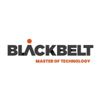 Logo of BlackBelt Technology Kft.