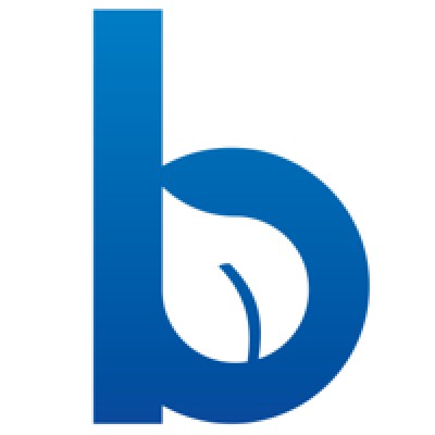 Blueleaf Wealth