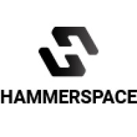 Logo of Hammerspace