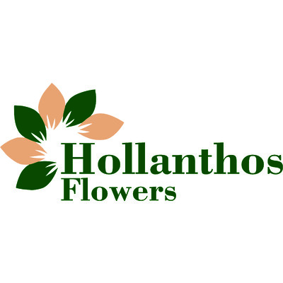 Logo of Hollanthos Flowers