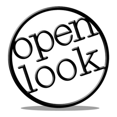 Logo of Open Look Business Solutions