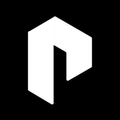 Logo of Palisades Security