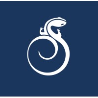 Salamander Washington DC