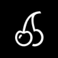 Senterprise - IT Experts Delivered