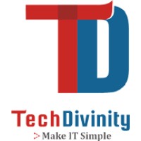Logo of TechDivinity