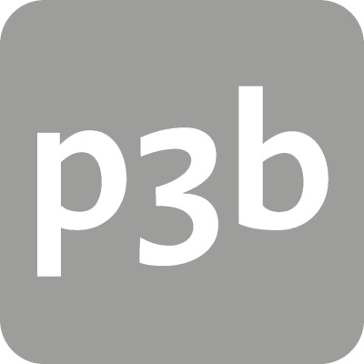 p3b ag