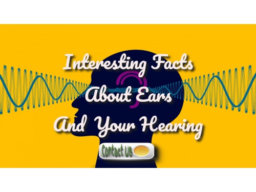 interesting facts about ears