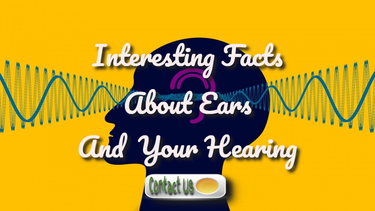 interesting facts about ears