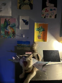 Picture of crevmfox