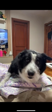 Picture of chinxluvpapa