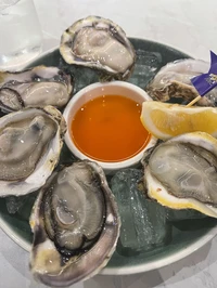 Picture of victus jollo