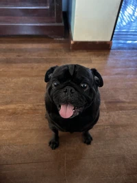 Picture of angle.munch