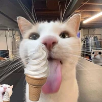 dwkichim