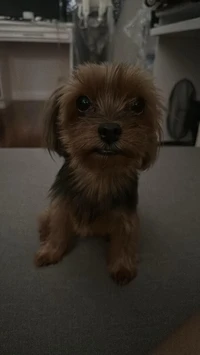 Picture of bundatfeels