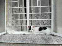 Picture of twostarhotels