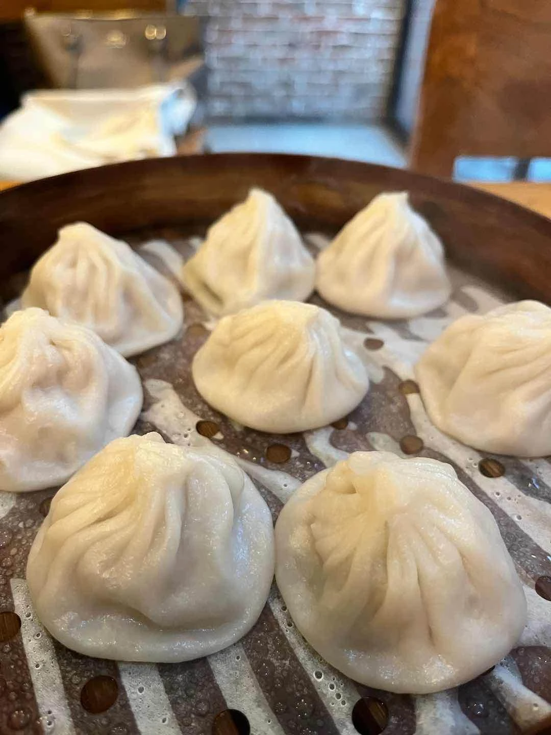 xiao long bao