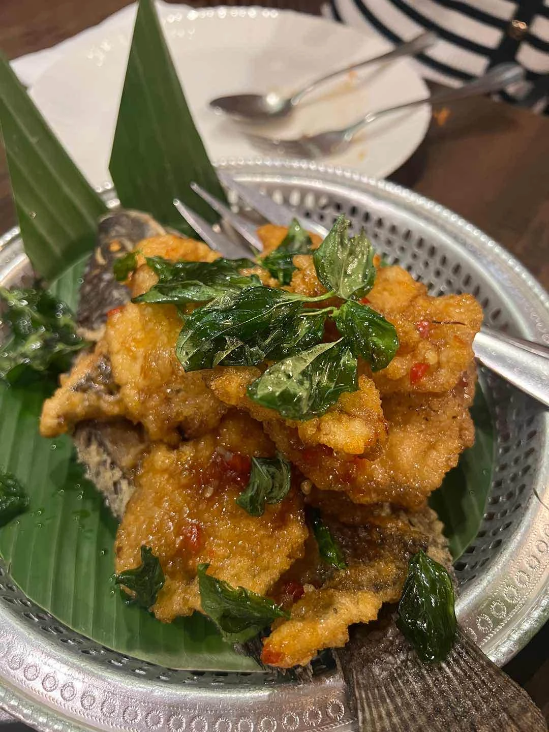 Tilapia