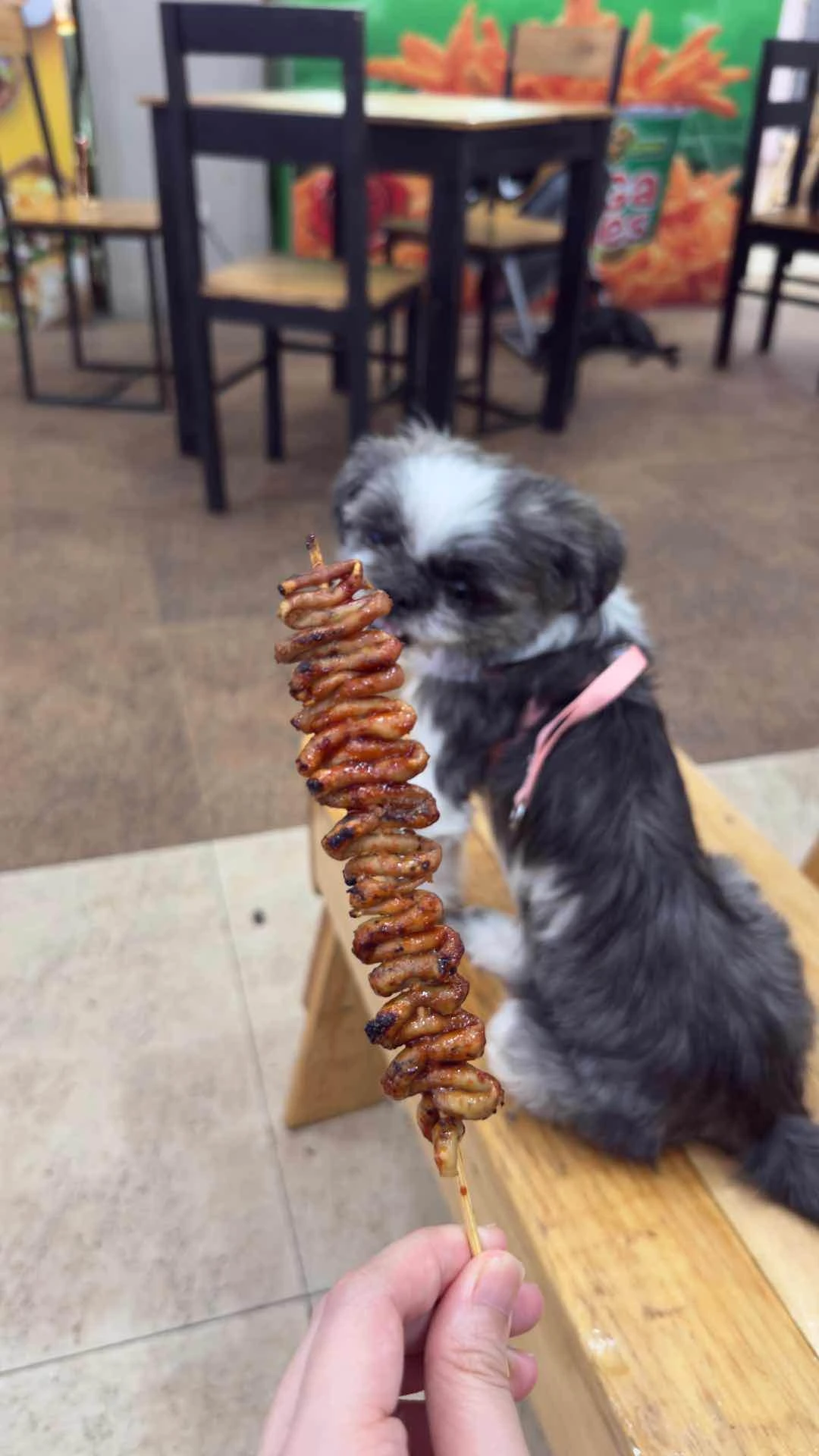 Isaw