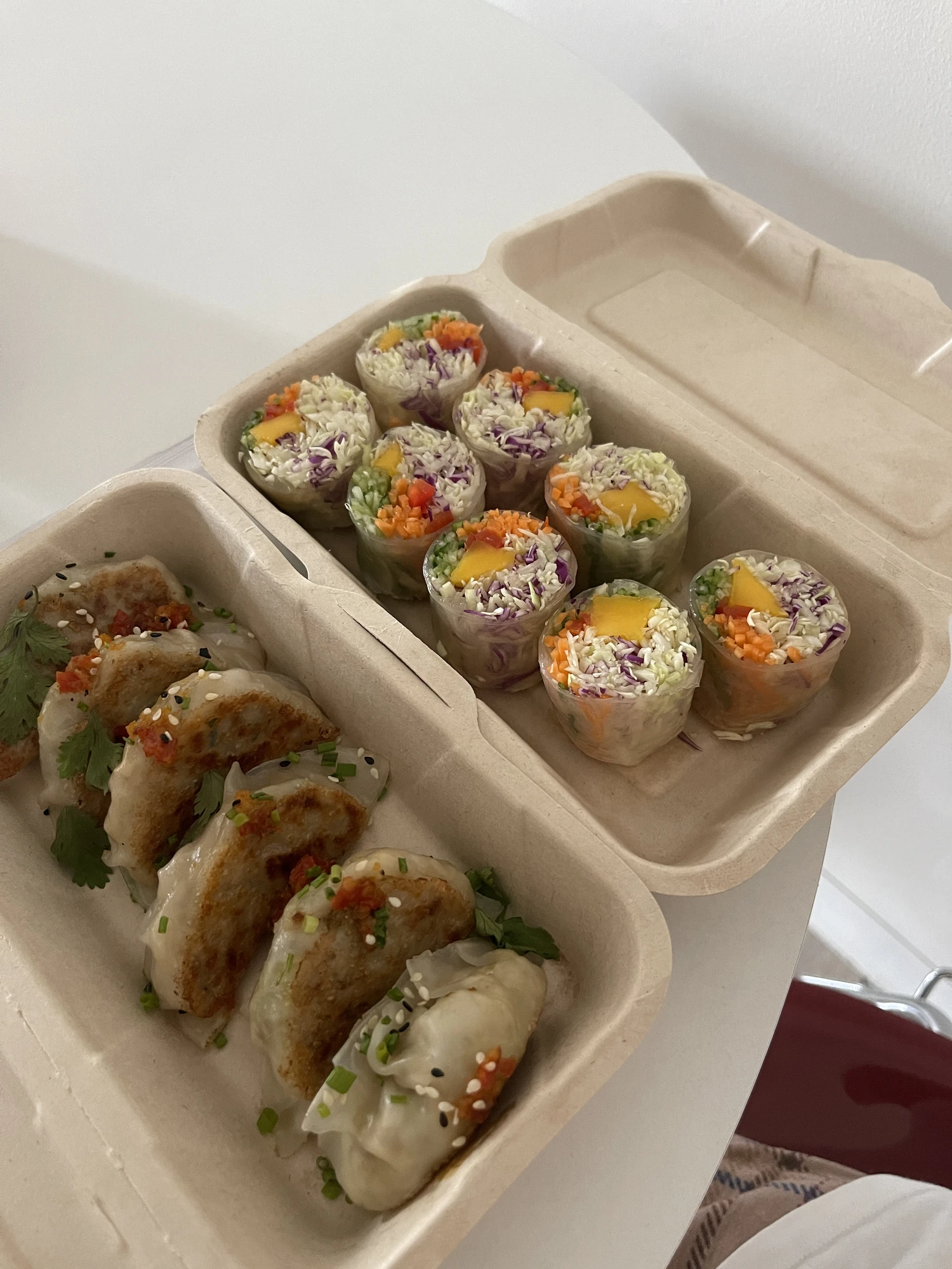 Gyoza and Fresh spring roll of iVegan Cafe Restaurant