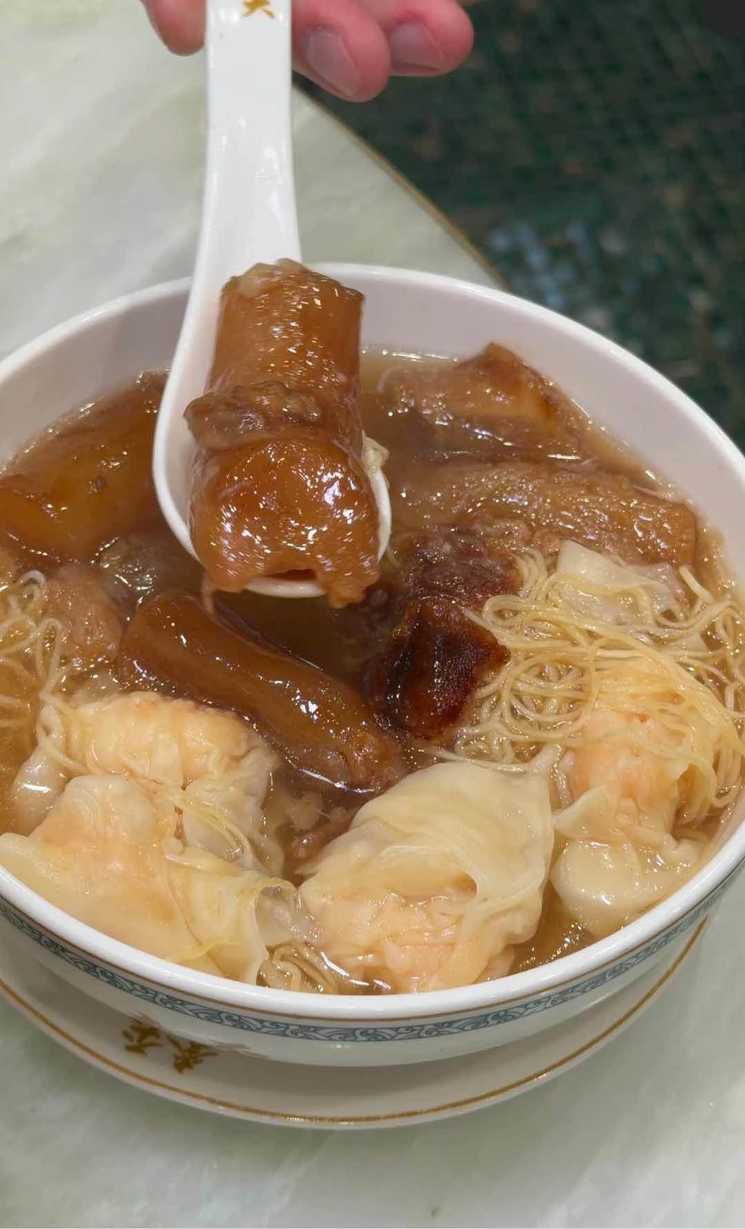 tendon plus wontons