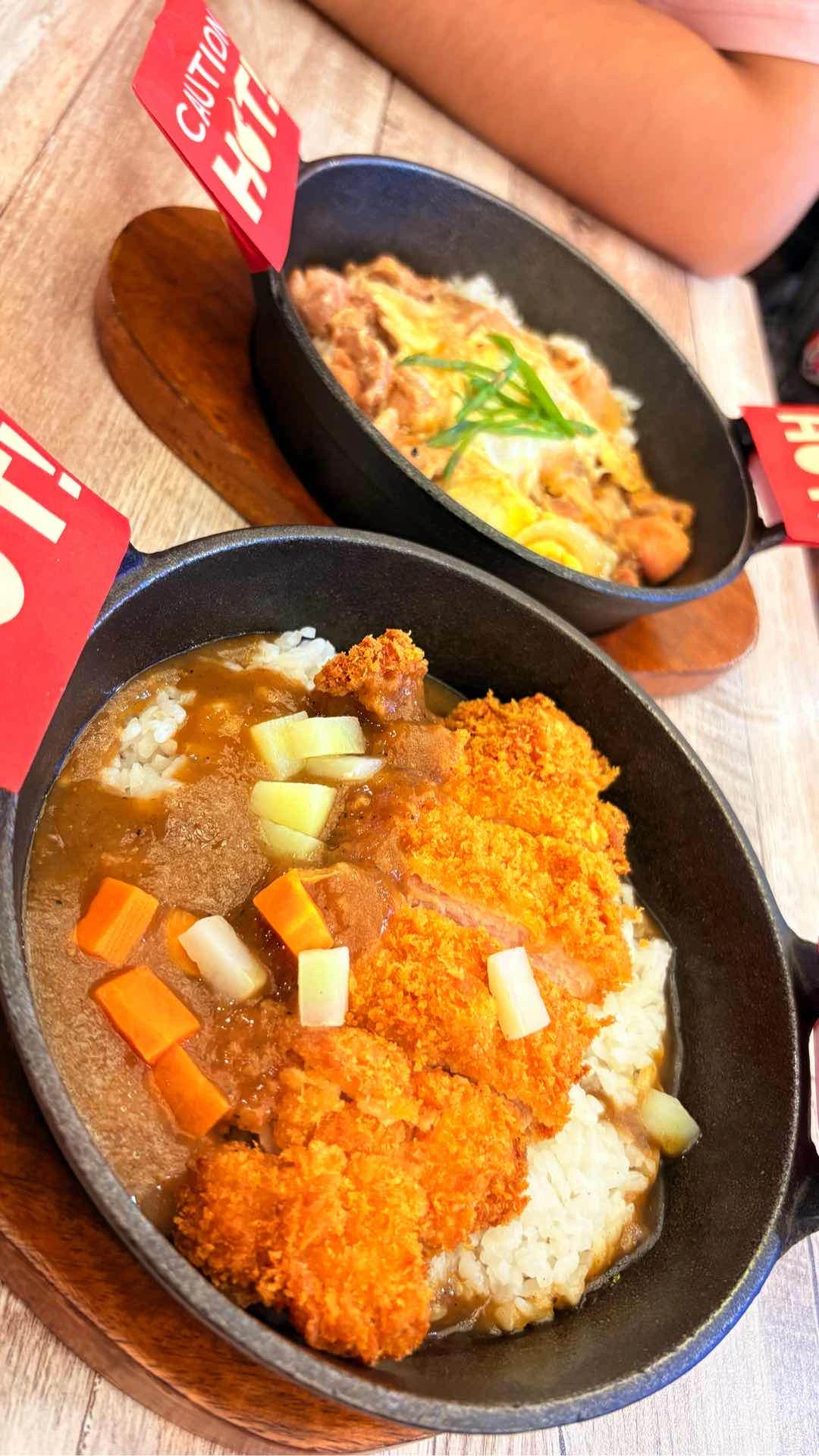 Katsu Curry and Oyakodon