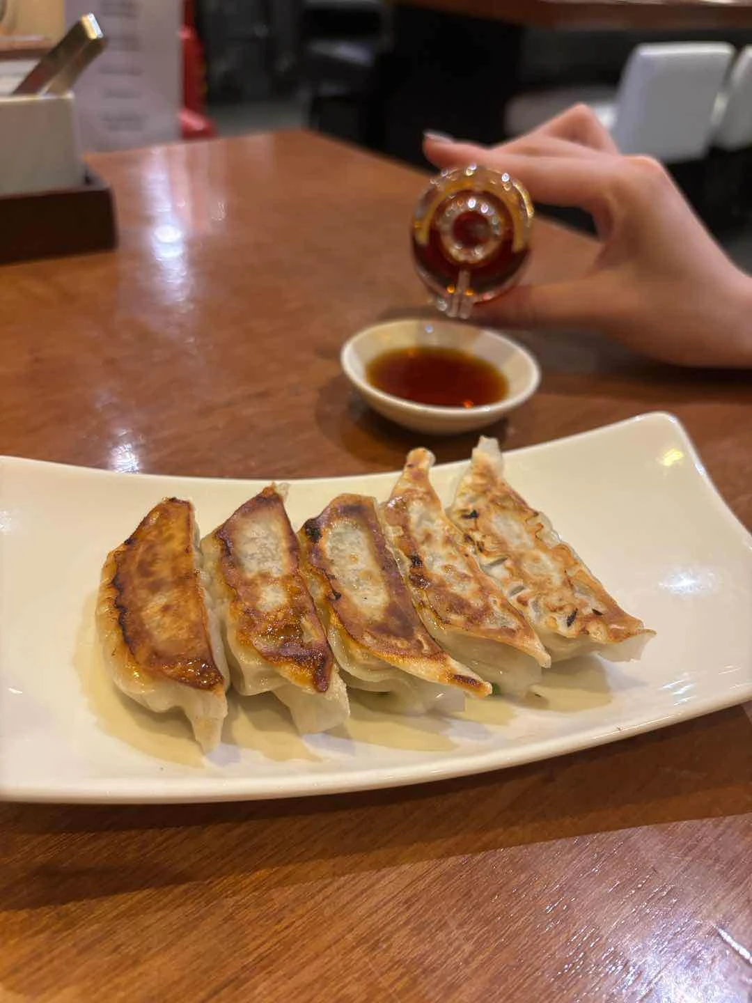 Fried Gyoza