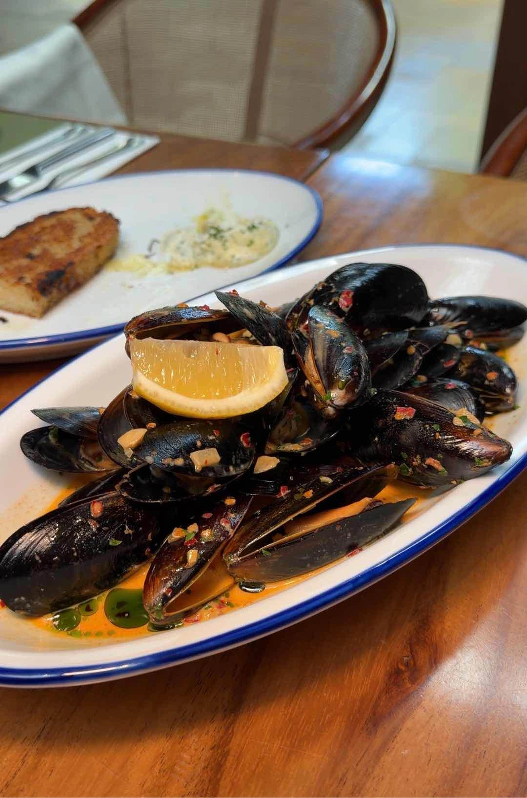 mussel