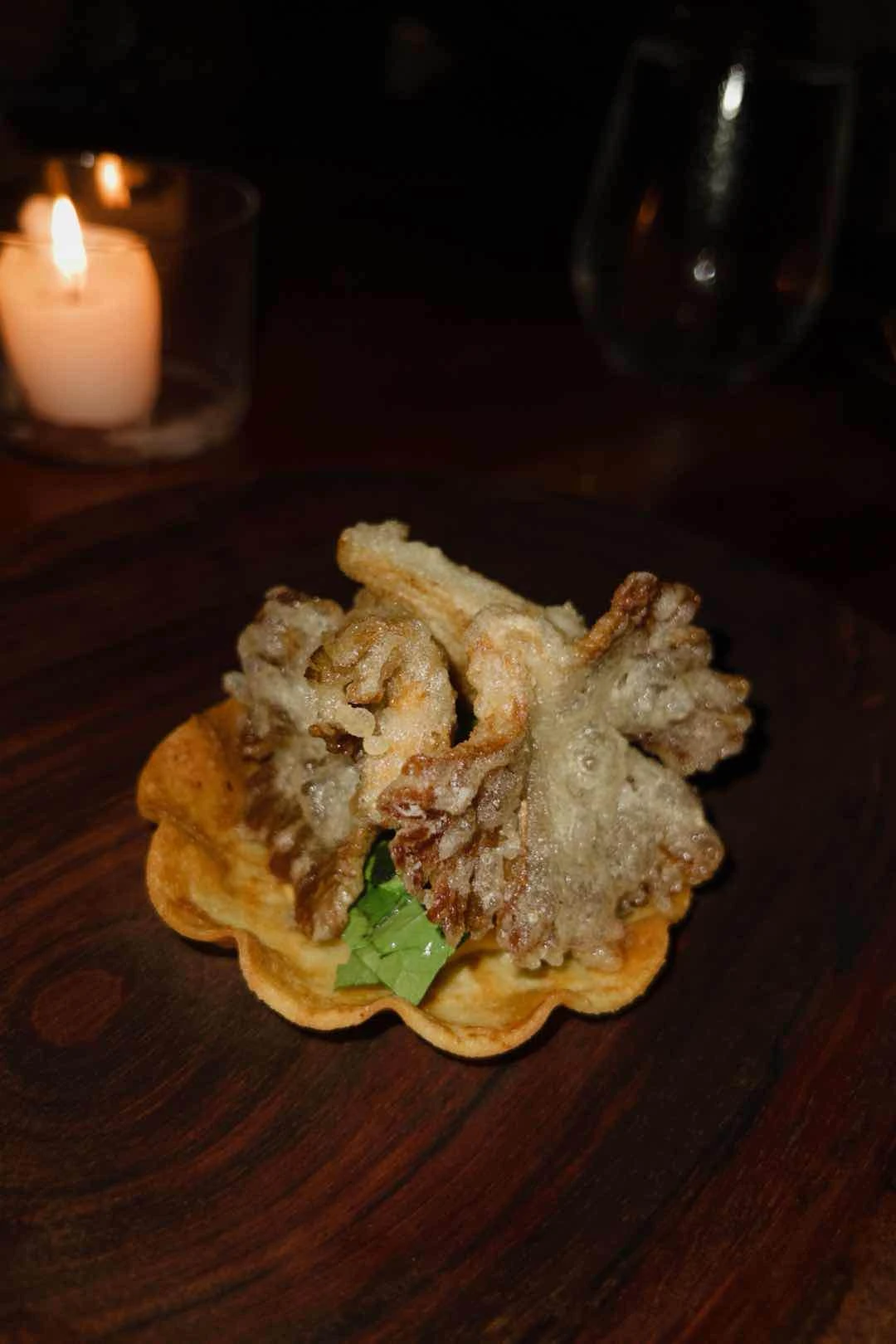oyster mushroom