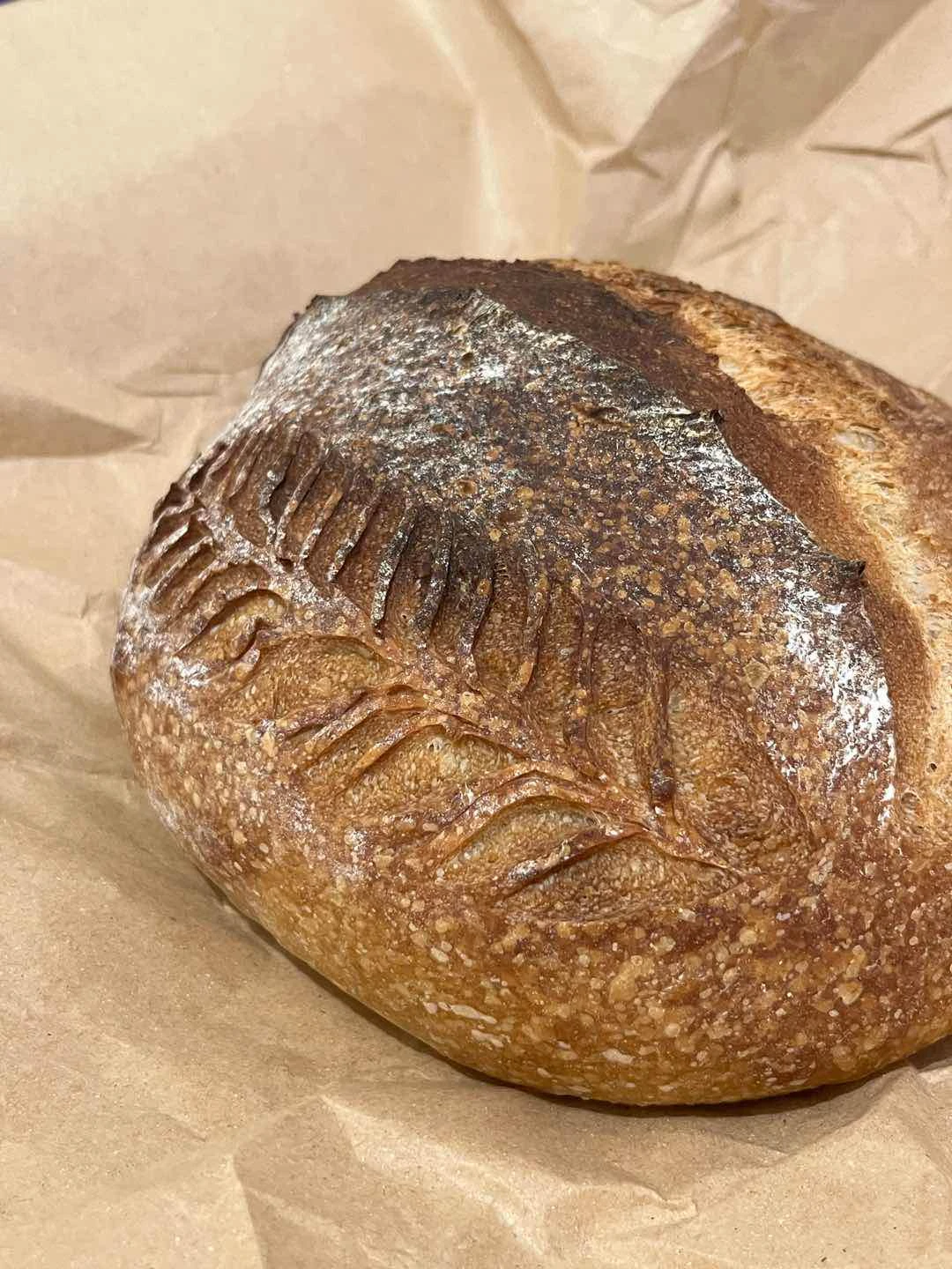 sourdough 