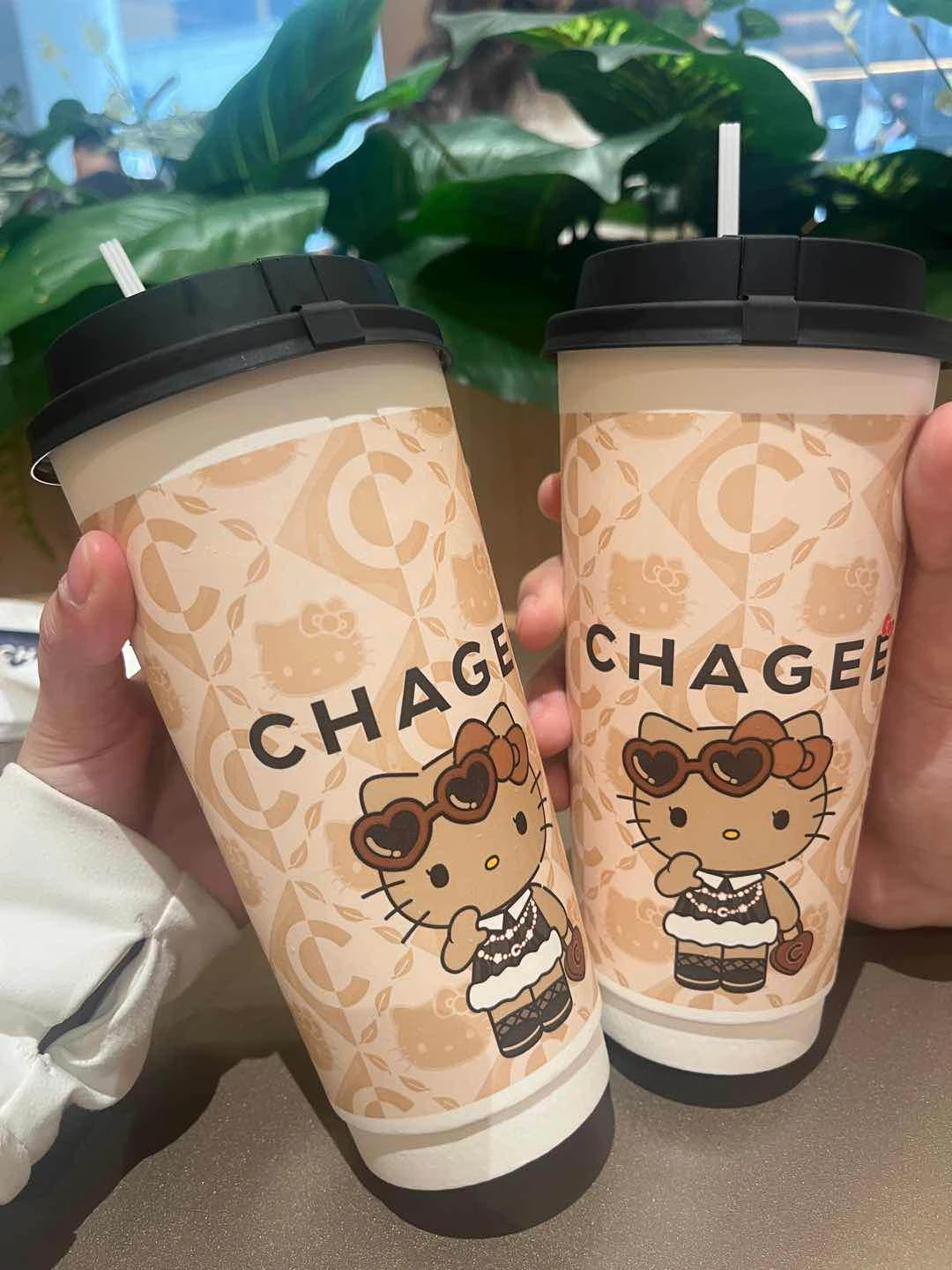 cocoa milk tea