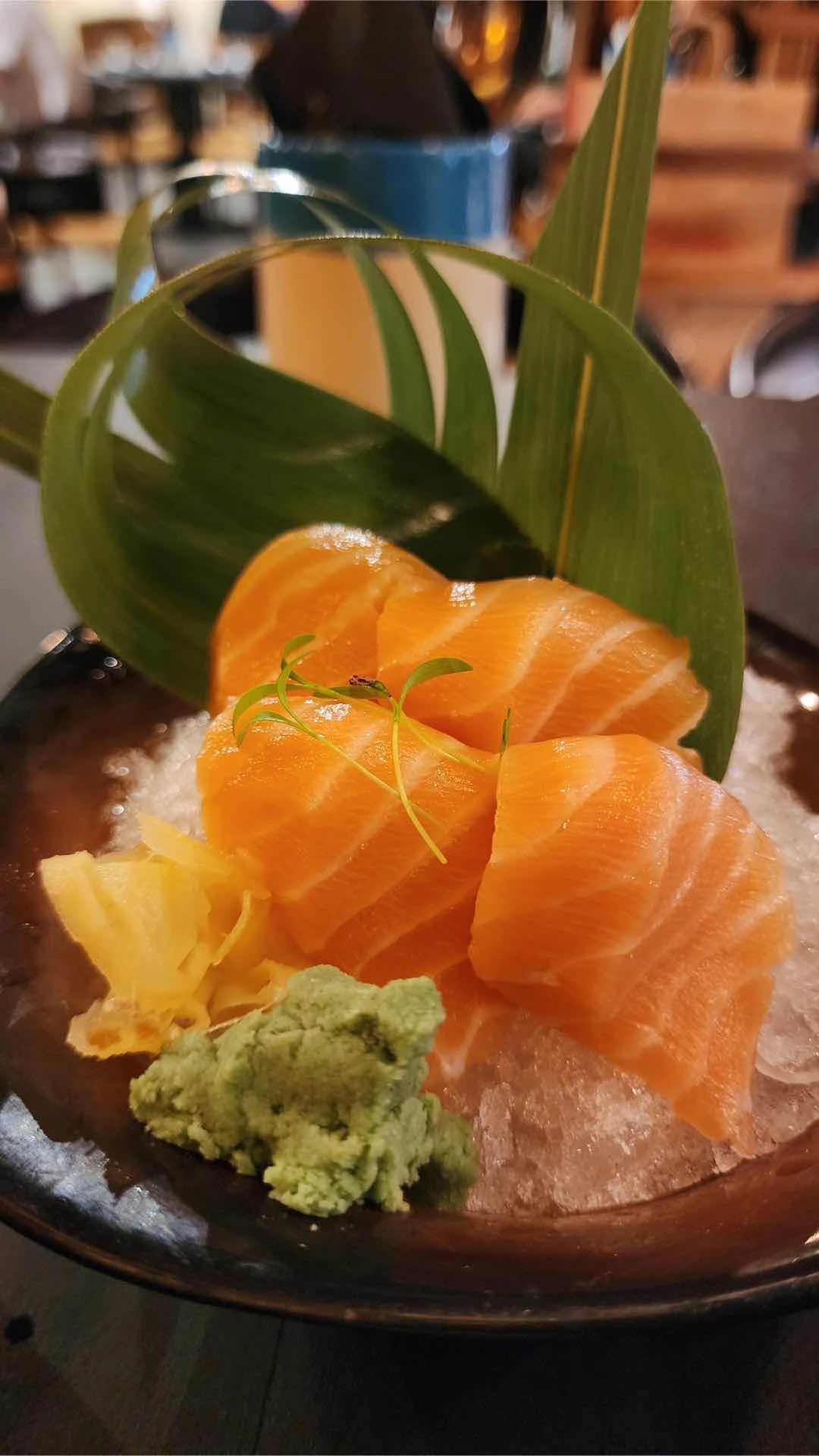 Salmon Sashimi