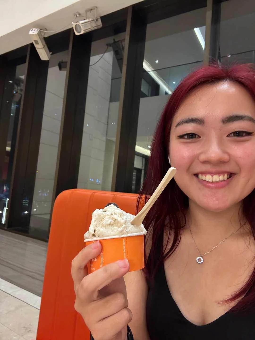 Tiramisu and vanilla  of Venchi