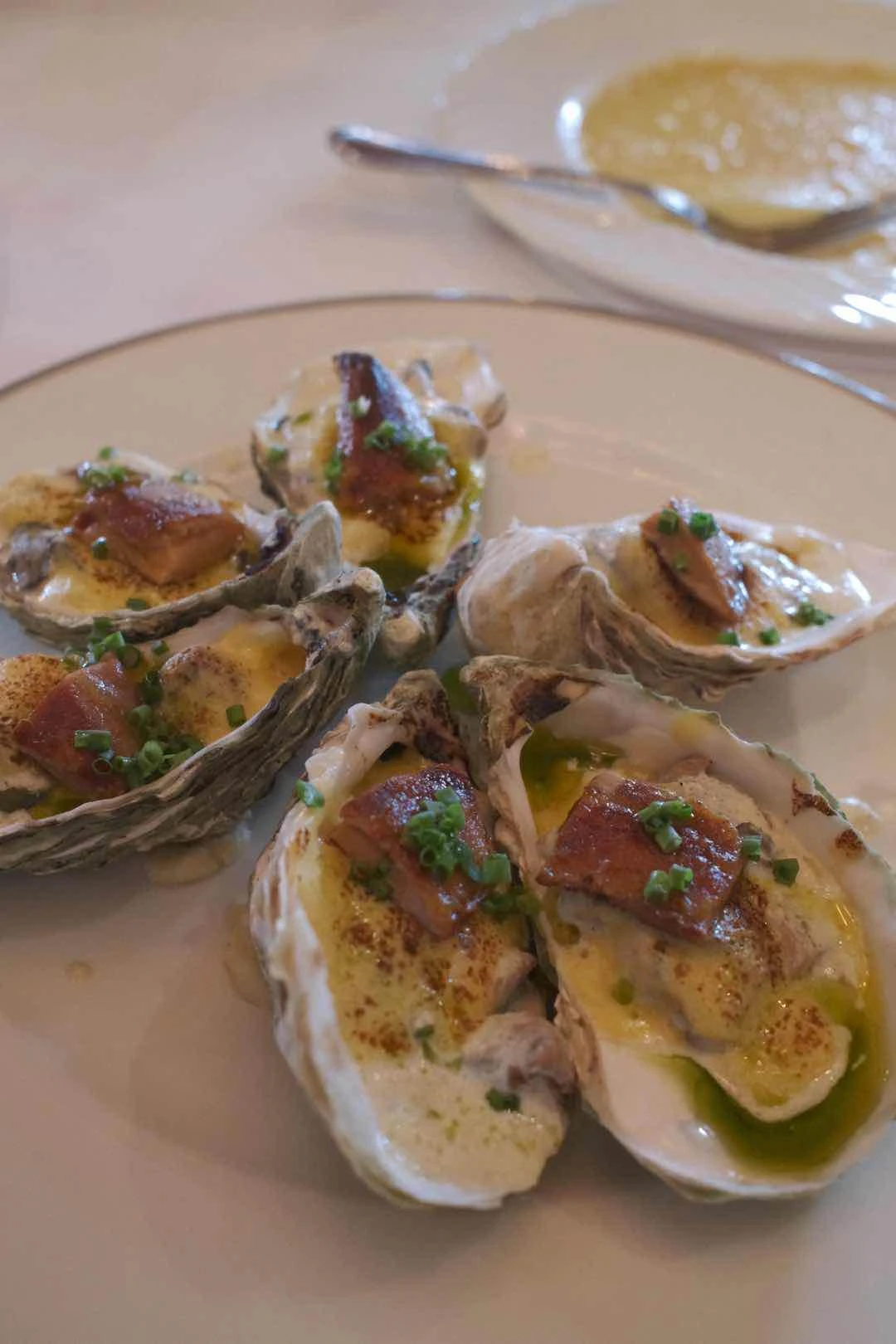 oysters