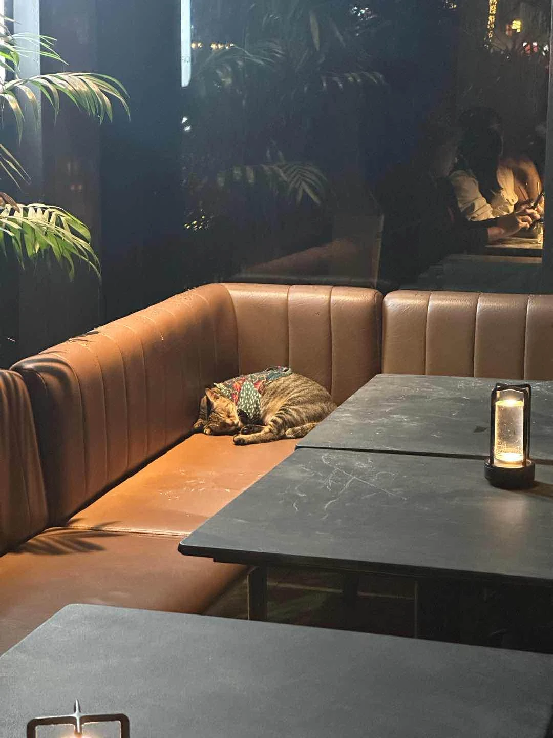 Bb!!! of Southbank Cafe + Lounge - Estancia