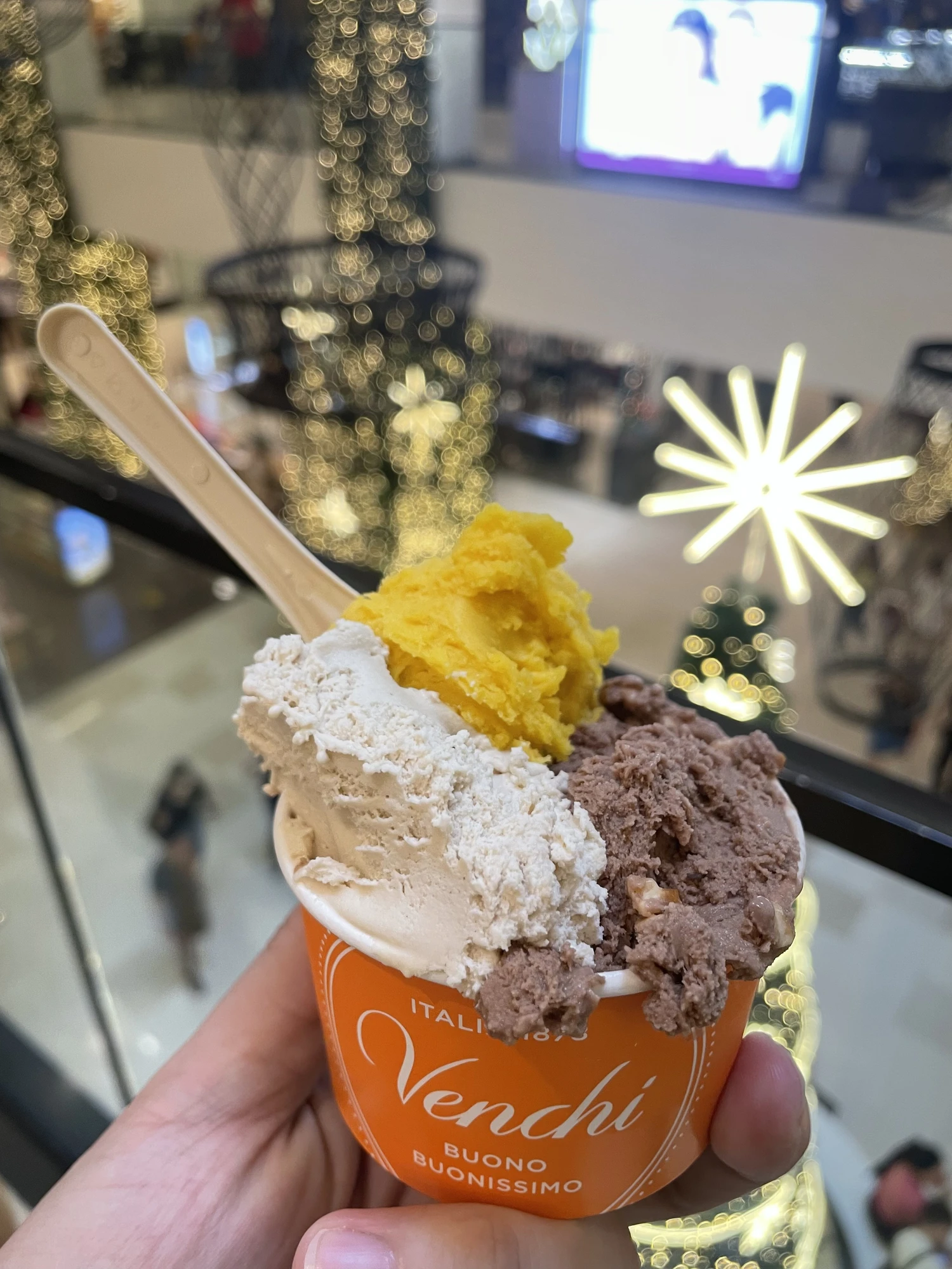 Hazelnut / Mango Sorbet 