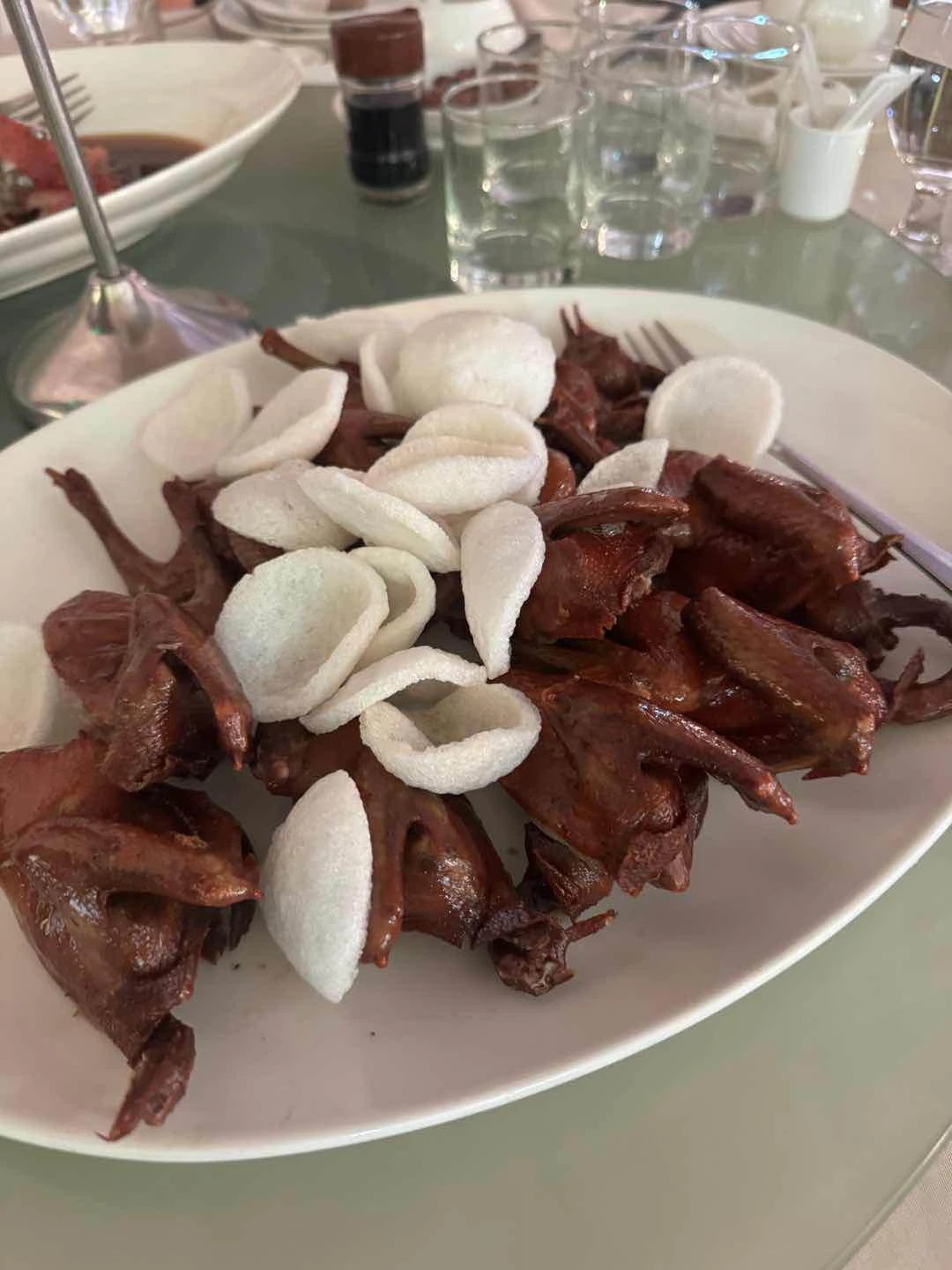 Pigeon