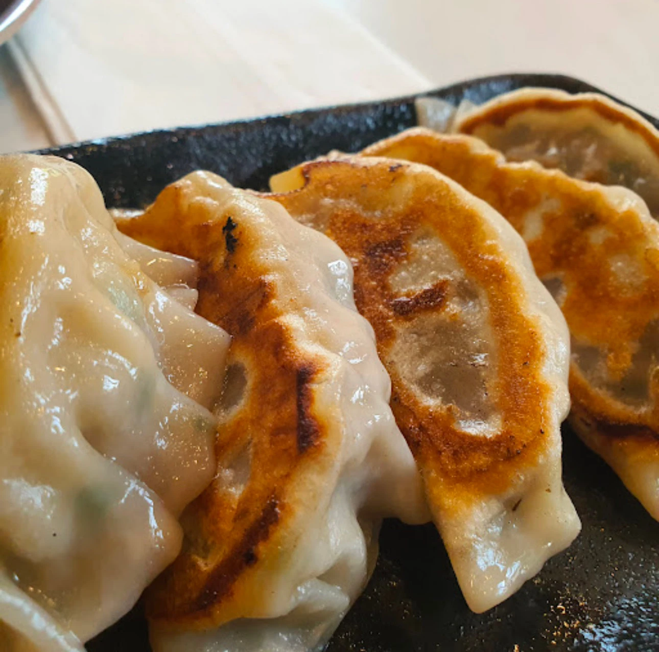 Gyoza